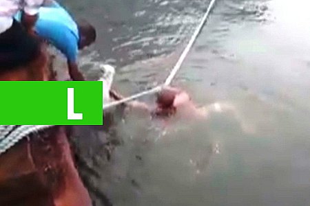 HOMEM PULA NO MAR E SALVA CÃOZINHO EM SANTOS - News Rondônia