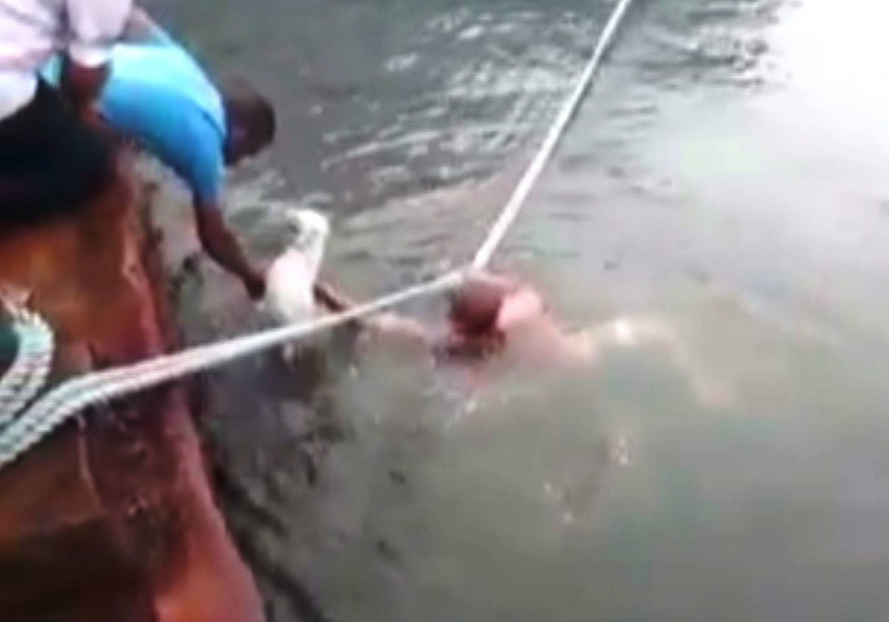 HOMEM PULA NO MAR E SALVA CÃOZINHO EM SANTOS - News Rondônia