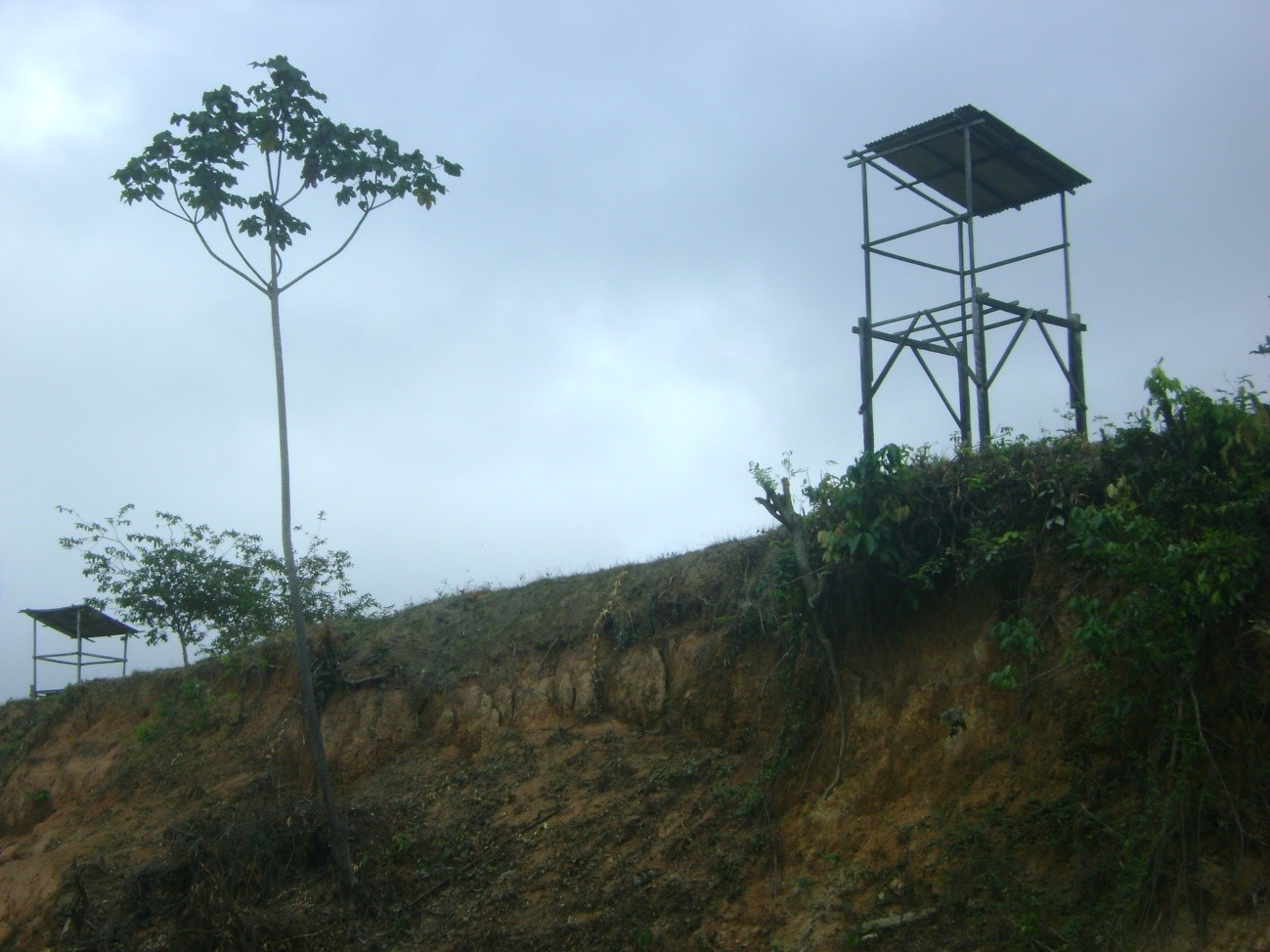 A cortina de silêncio - Por Marquelino Santana - News Rondônia