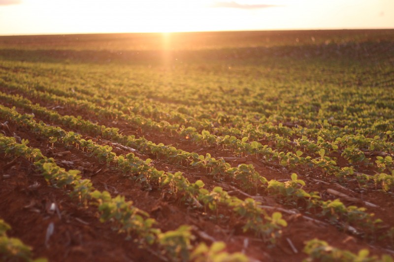 O CAMPO MERECE UM TRATAMENTO REPUBLICANO! - News Rondônia