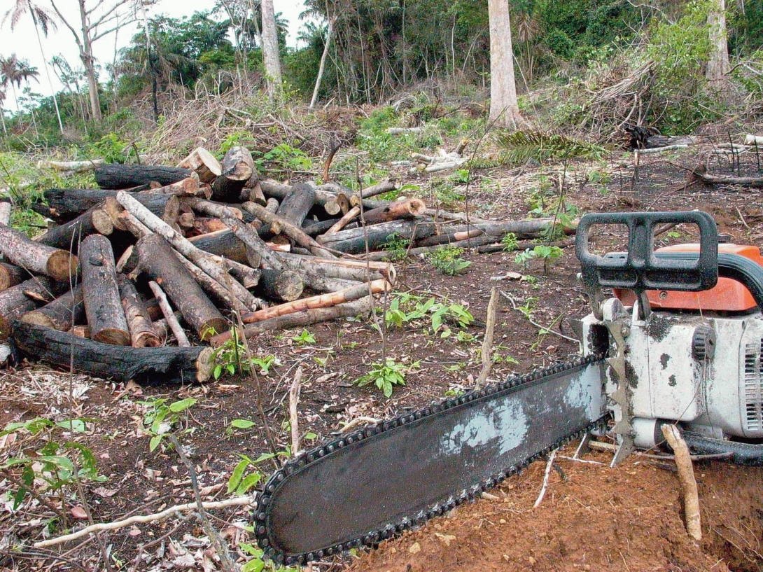 POLÍTICA & MURUPI: UMA GRANDE IDEIA - News Rondônia