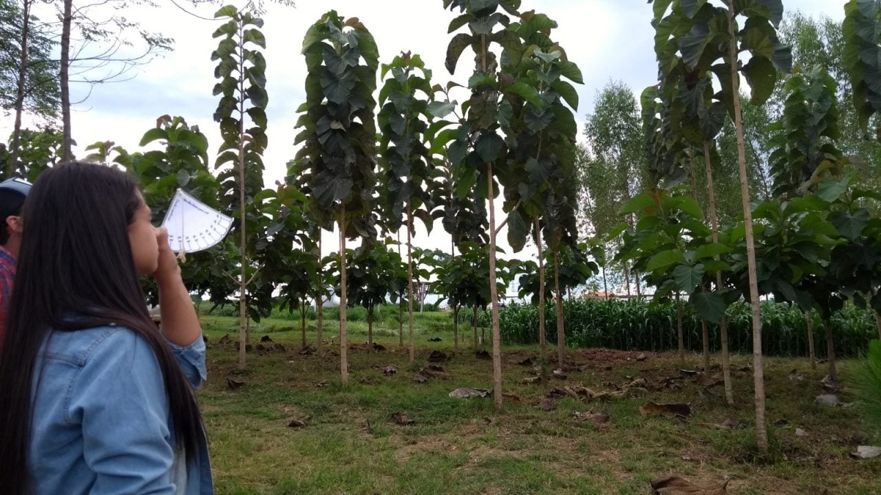 ESTUDANTES PARTICIPAM DE AULA PRÁTICA SOBRE FLORESTA PLANTADA NA VITRINE TECNOLÓGICA DA 7ª RONDÔNIA RURAL SHOW - News Rondônia