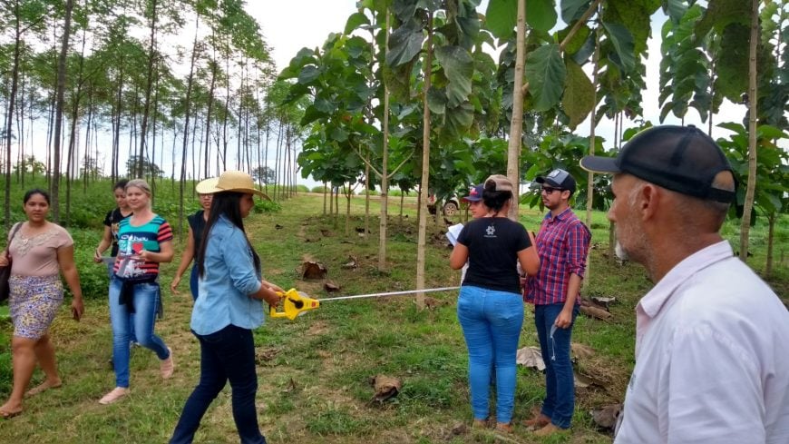 ESTUDANTES PARTICIPAM DE AULA PRÁTICA SOBRE FLORESTA PLANTADA NA VITRINE TECNOLÓGICA DA 7ª RONDÔNIA RURAL SHOW - News Rondônia