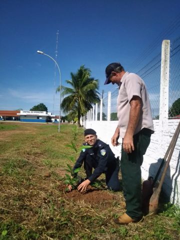 SEMANA INICIA COM PLANTIO DE ÁRVORES FRUTÍFERAS NO QUARTEL DA PM, EM PIMENTA BUENO - News Rondônia