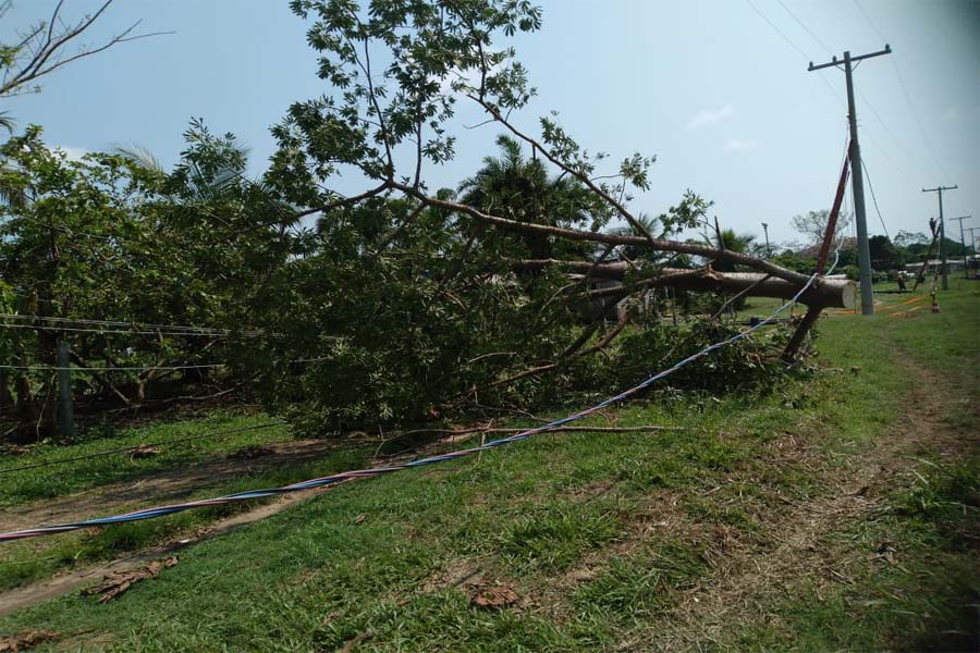 Vendaval causa danos na região do distrito de São Carlos em Porto Velho. - News Rondônia