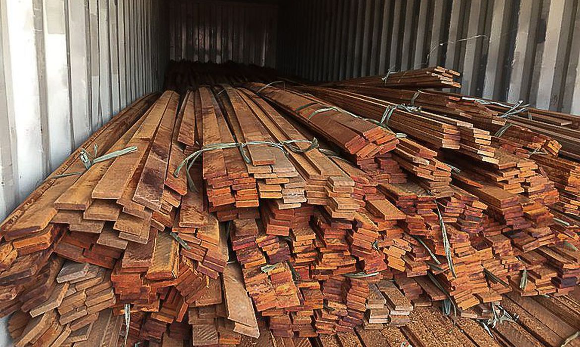 Operação da PF combate desmatamento ilegal na Floresta Amazônica - News Rondônia