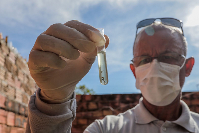 CUIDADOS - Período chuvoso contribui para o aumento de casos de dengue em Porto Velho - News Rondônia