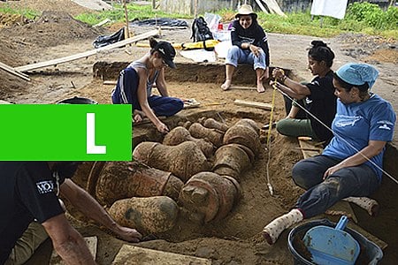 ARQUEÓLOGOS DESCOBREM CEMITÉRIO NA AMAZÔNIA COM URNAS FUNERÁRIAS INDÍGENAS QUE PODEM TER MAIS DE 500 ANOS - News Rondônia