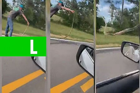 VÍDEO: JOVEM JOGA COBRA NA PRÓPRIA IRMÃ DENTRO DE CARRO - News Rondônia