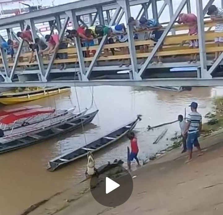 REVOLTANTE: EM VÍDEO, HOMEM MATA JACARÉ COM GOLPES DE MACHADO - News Rondônia