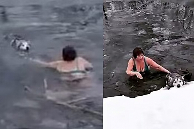 Idosa pula em lago congelado para salvar cachorro - vídeo - News Rondônia
