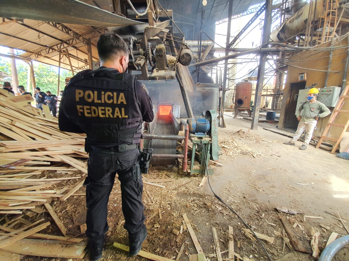 TRAFICANTES EM CRISE: PF incinera mais de 600 quilos de droga em Rondônia - News Rondônia