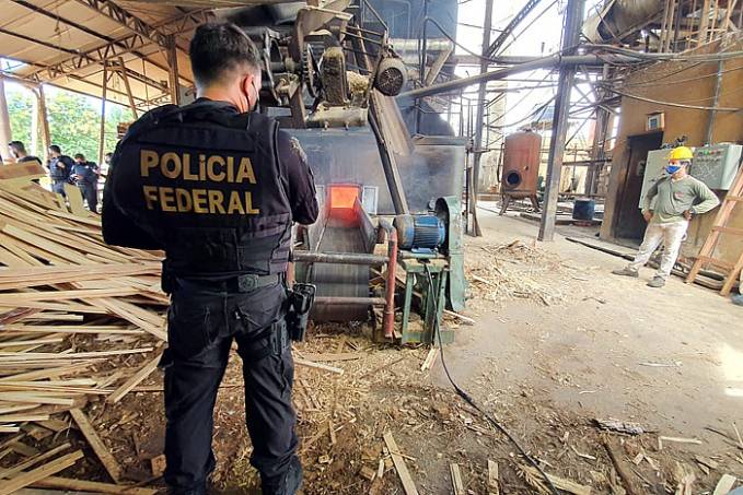 TRAFICANTES EM CRISE: PF incinera mais de 600 quilos de droga em Rondônia - News Rondônia