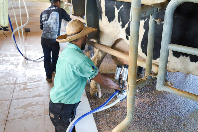 Melhoramento genético de rebanho de leite também conta com apoio do Sebrae em Rondônia - News Rondônia