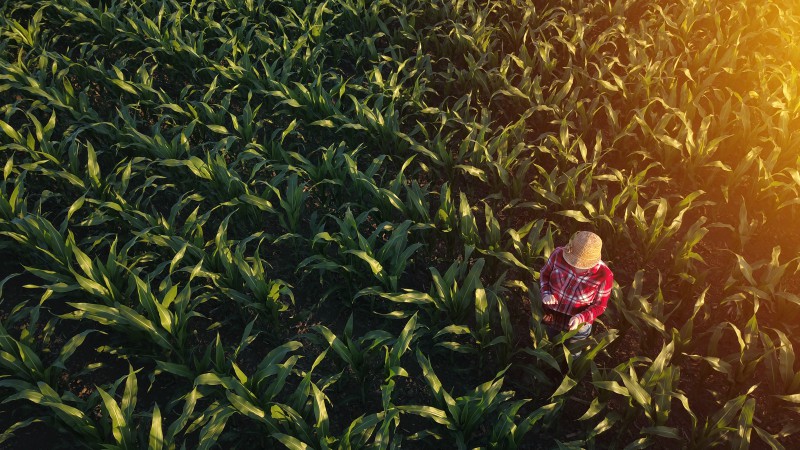 OUVIR OS PRODUTORES RURAIS É NECESSÁRIO - POR JOSÉ LUIZ ALVES - News Rondônia