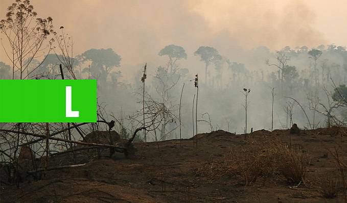 Promotores de Justiça realizam sobrevoo em áreas de queimadas na região do Valé do Guaporé - News Rondônia