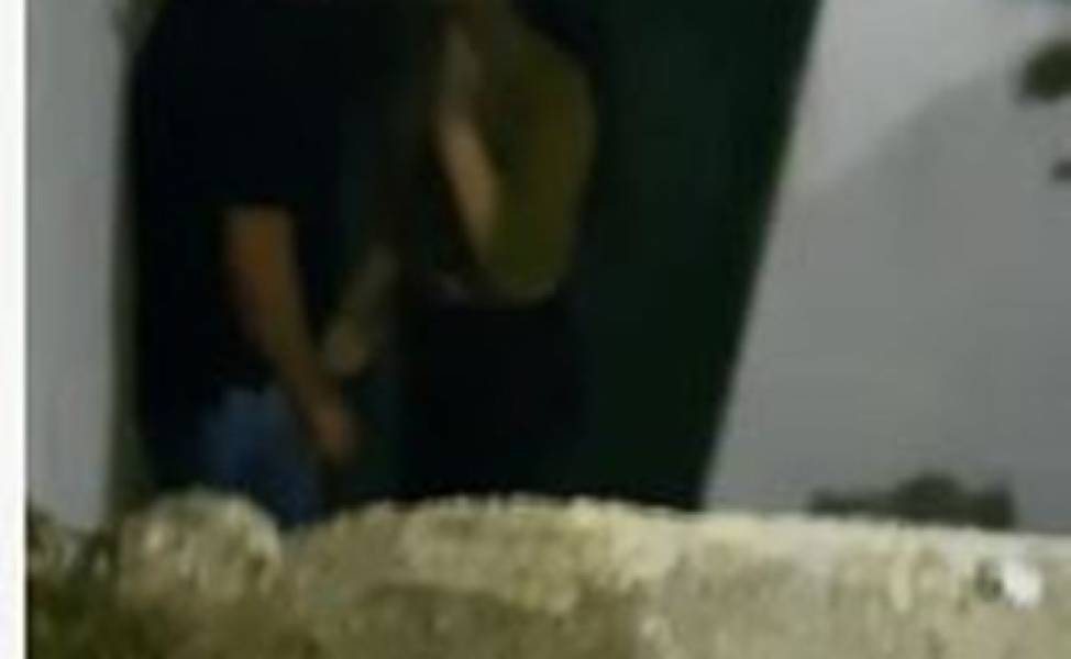 VÍDEO DE CASAL FAZENDO SEXO EM BAIA DE ANIMAIS DURANTE FEIRA AGROPECUÁRIA EM VILHENA, VIRALIZA NO WHATSAPP - News Rondônia