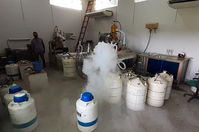 Produtores de leite do Cone Sul já receberam mais de 1.400 litros de nitrogênio líquido neste ano - News Rondônia