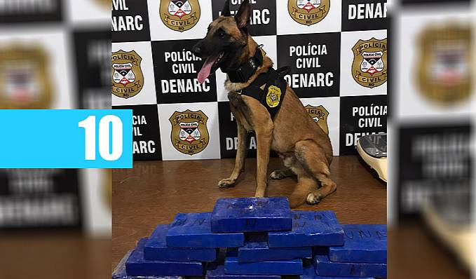 OPERAÇÃO HORUS: Denarc faz apreensão de 12 kg de cocaína avaliada em R$ 300 mil reiais na capital - News Rondônia