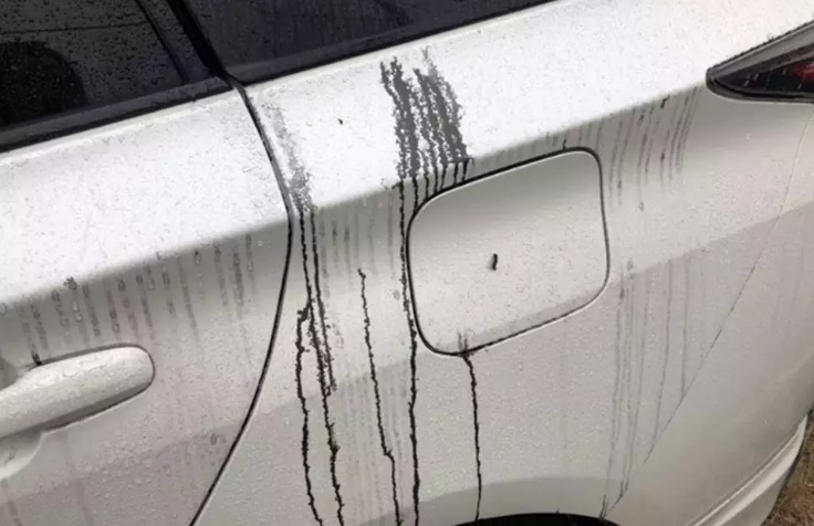 FENÔMENO RARO: CHUVA NEGRA CAI NO JAPÃO APÓS FORTES TEMPESTADES - News Rondônia