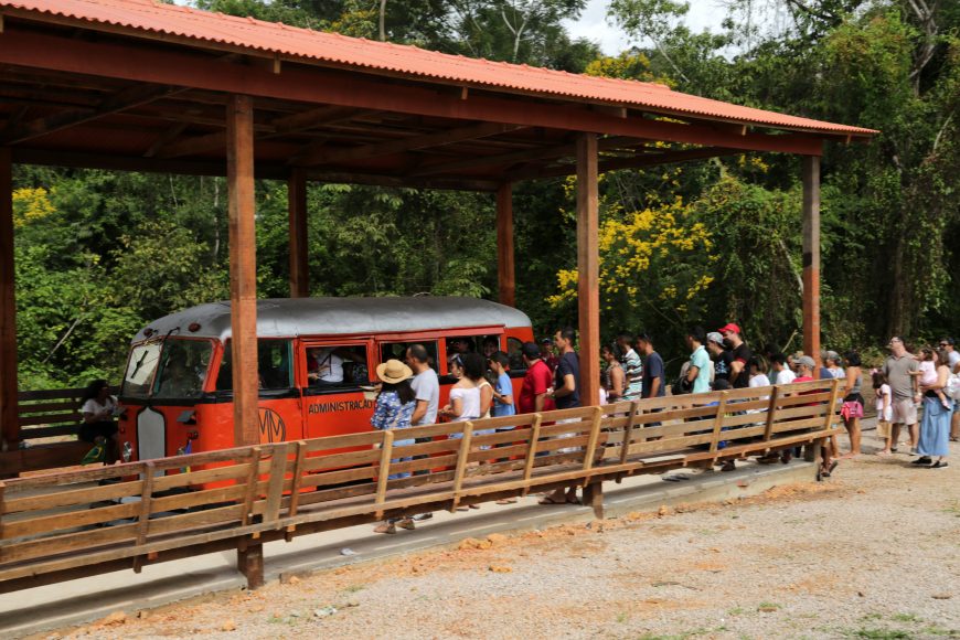 COM MAIS DE 100 ANOS DE EXISTÊNCIA, LITORINA VOLTA A ANDAR NOS TRILHOS DA ESTRADA DE FERRO MADEIRA-MAMORÉ - News Rondônia