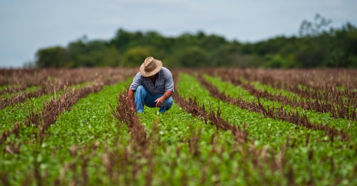 OS GARGALOS QUE AMEAÇAM O AGRONEGÓCIO - POR JOSÉ LUIZ ALVES - News Rondônia