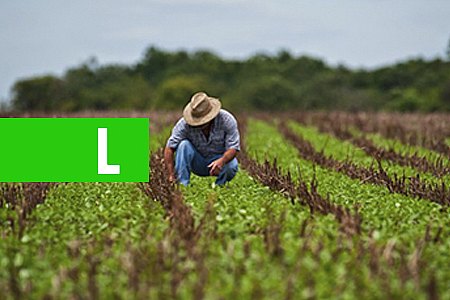 OS GARGALOS QUE AMEAÇAM O AGRONEGÓCIO - POR JOSÉ LUIZ ALVES - News Rondônia