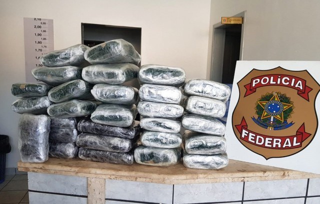 TRÊS MULHERES SÃO PRESAS COM 30 QUILOS DE MACONHA NA RODOVIÁRIA DE PORTO VELHO - News Rondônia
