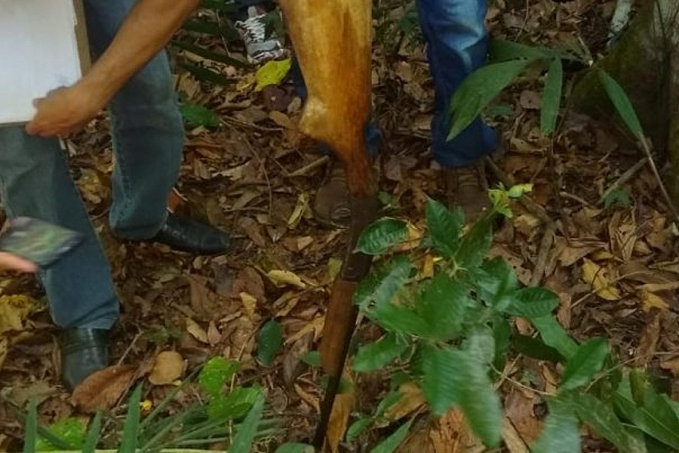 DISPARO ACIDENTAL - Homem é socorrido após ser atingido por espingarda ponto 40 - News Rondônia