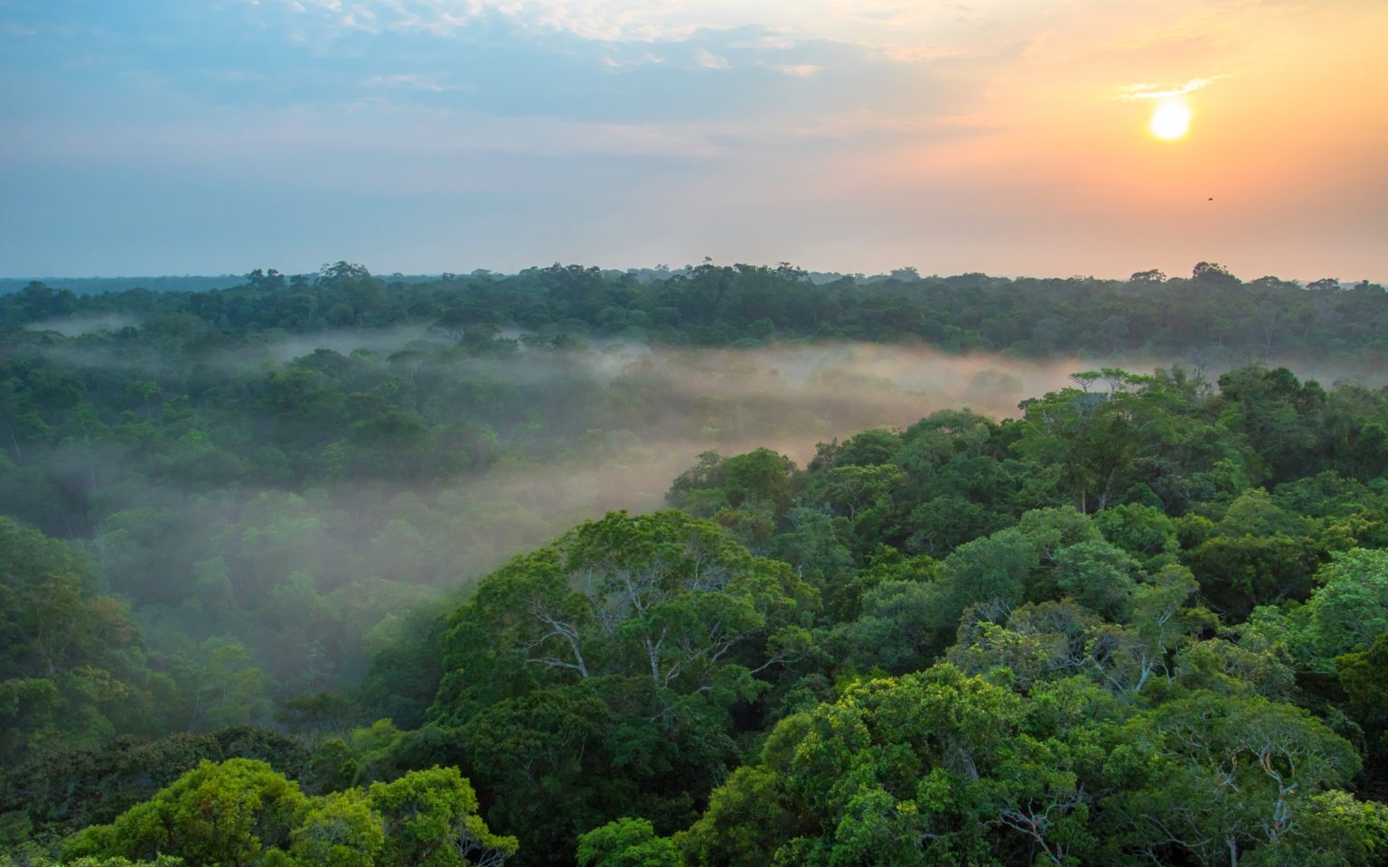 Frente fria chega na próxima quinta, 6, e vai alterar a temperatura em Rondônia - News Rondônia