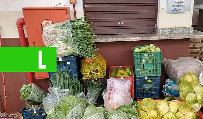 Prefeitura de Rolim de Moura distribui 4 toneladas de alimentos do PAA - News Rondônia