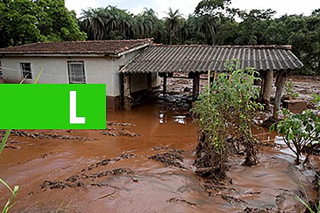 SOBE PARA 179 O NÚMERO DE MORTOS IDENTIFICADOS EM BRUMADINHO - News Rondônia
