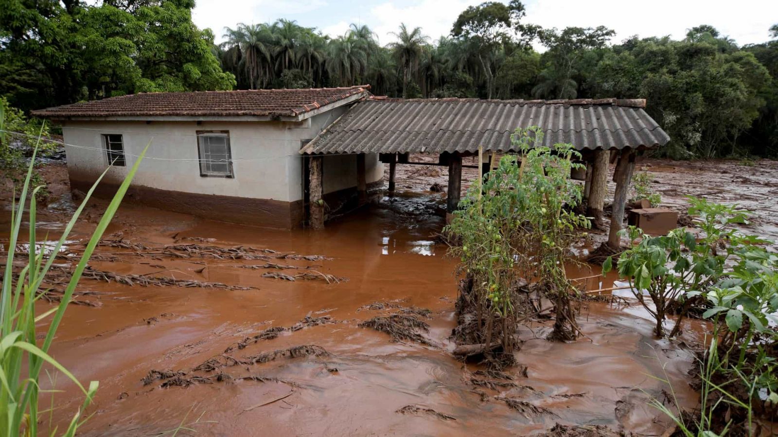 SOBE PARA 179 O NÚMERO DE MORTOS IDENTIFICADOS EM BRUMADINHO - News Rondônia