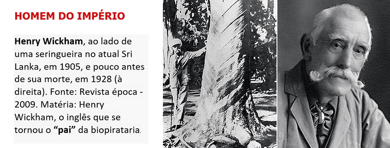 A fumaça do Buião, o Fabrico da péla e a biopirataria - News Rondônia