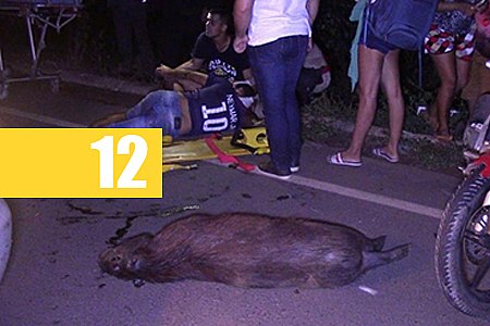 MOTOCICLISTA SOFRE FRATURA EXPOSTA NA PERNA APÓS BATER EM CAPIVARA NA RO-383, EM ROLIM DE MOURA - FOTOS - News Rondônia