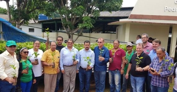 GOVERNO ENTREGA MUDAS DE CAFÉ CLONAL PARA CINCO PRODUTORES RURAIS DE GUAJARÁ-MIRIM - News Rondônia