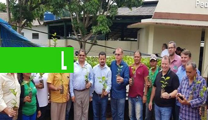 GOVERNO ENTREGA MUDAS DE CAFÉ CLONAL PARA CINCO PRODUTORES RURAIS DE GUAJARÁ-MIRIM - News Rondônia