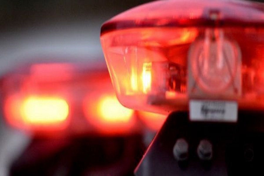 Idoso é encontrado morto dentro de mata em sítio na BR-319 na capital - News Rondônia