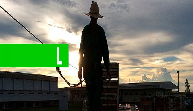 CAPACITAÇÃO DE PROFISSIONAIS DO TRANSPORTE BOIADEIRO MELHORA ATENDIMENTO AOS PECUARISTAS - News Rondônia