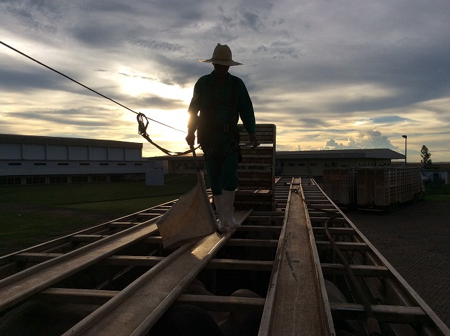 CAPACITAÇÃO DE PROFISSIONAIS DO TRANSPORTE BOIADEIRO MELHORA ATENDIMENTO AOS PECUARISTAS - News Rondônia