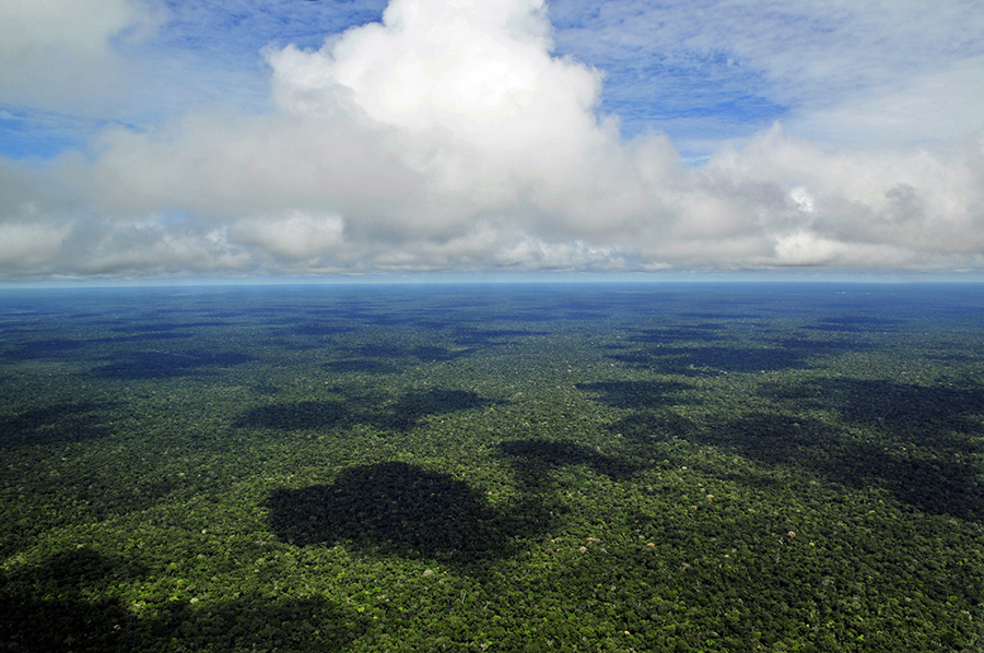 LIÇÕES INCONTÁVEIS - POR CARLOS SPERANÇA - News Rondônia