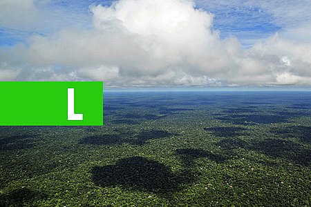 LIÇÕES INCONTÁVEIS - POR CARLOS SPERANÇA - News Rondônia
