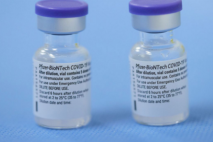 Anvisa discute com Pfizer estudos sobre aplicação da terceira dose - News Rondônia