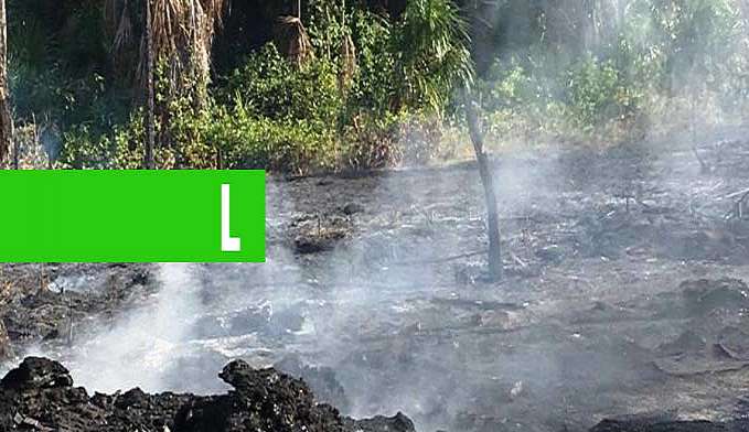 GOVERNO DE RONDÔNIA APRESENTARÁ PROJETO DE COMBATE ÀS QUEIMADAS AO MINISTRO DO MEIO AMBIENTE - News Rondônia
