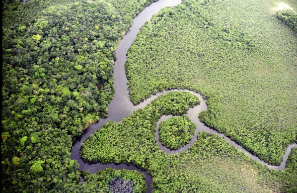 Governo pretende investir 150 milhões de reais para preservação de floresta - News Rondônia