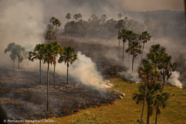 Bispos alertam sobre impacto de PL da grilagem e pedem para que o Senado retire da pauta - News Rondônia