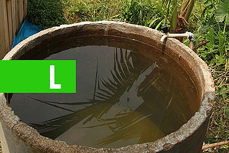 AGEVISA ALERTA SOBRE CUIDADOS PARA EVITAR CRIADOUROS DO MOSQUITO DA DENGUE NO PERÍODO CHUVOSO - News Rondônia
