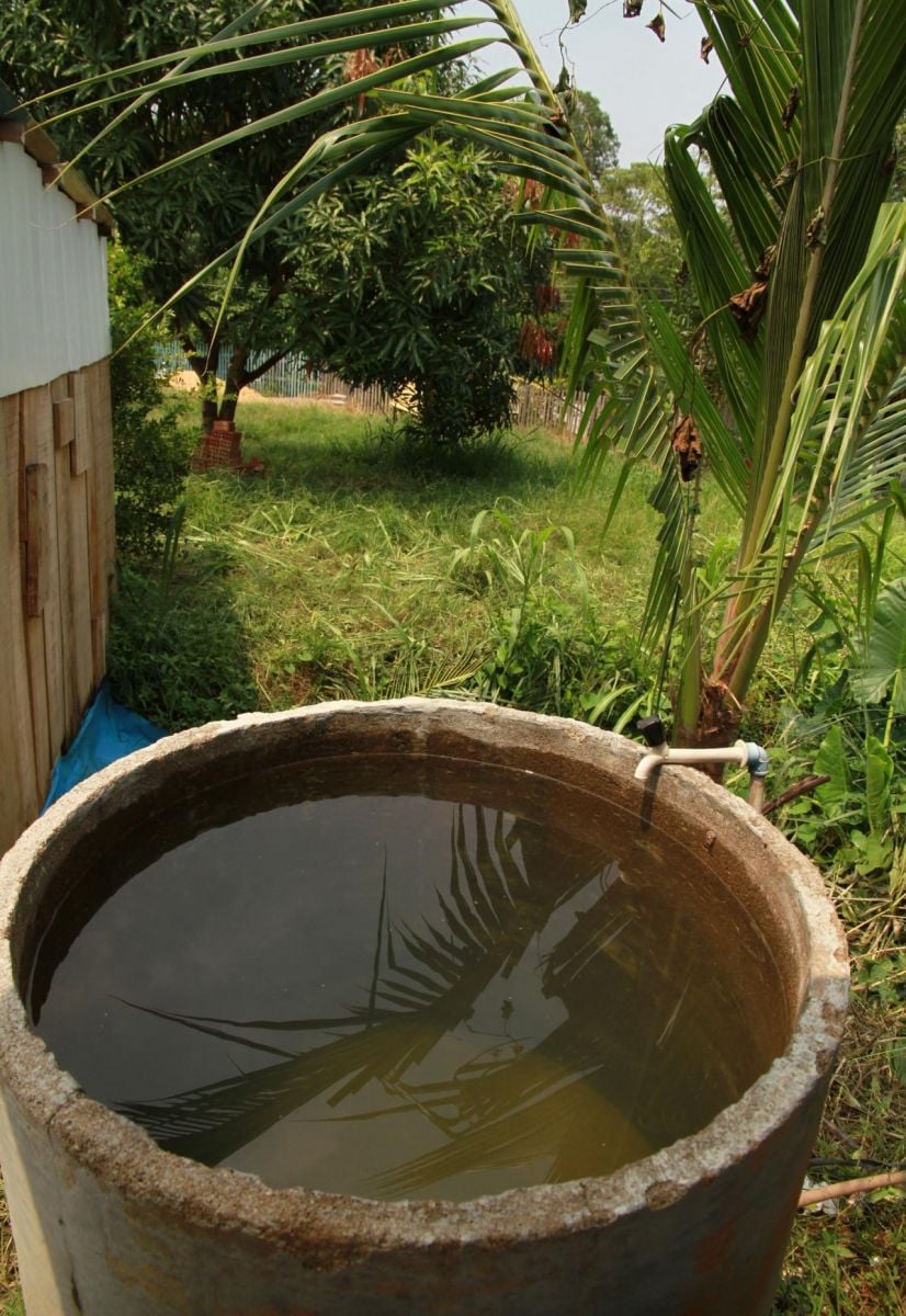 AGEVISA ALERTA SOBRE CUIDADOS PARA EVITAR CRIADOUROS DO MOSQUITO DA DENGUE NO PERÍODO CHUVOSO - News Rondônia