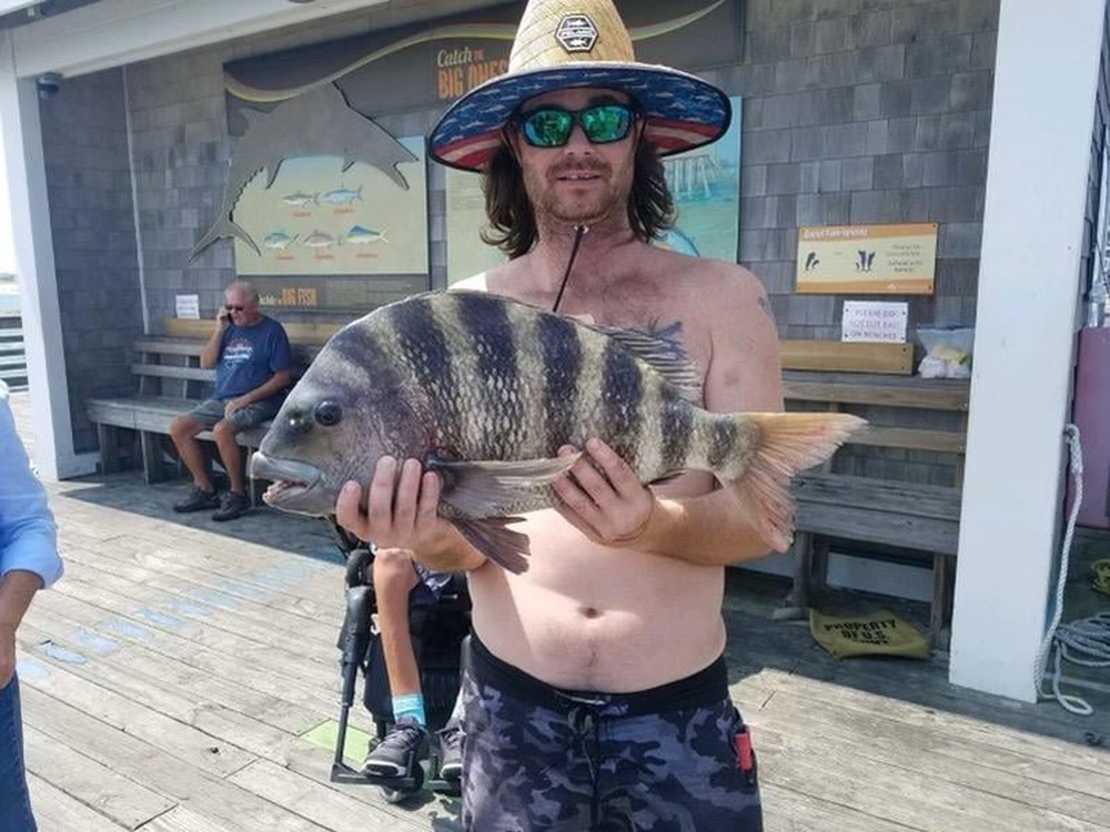 Peixe com 'dentes humanos' é capturado em pescaria nos EUA - News Rondônia
