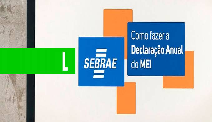 Prazo para envio da Declaração do MEI se encerra nesta terça (30) - News Rondônia